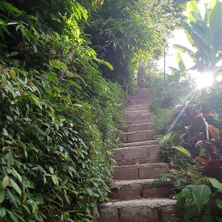 Jungleadventure Cabin Camping Bedugul  Esterno foto