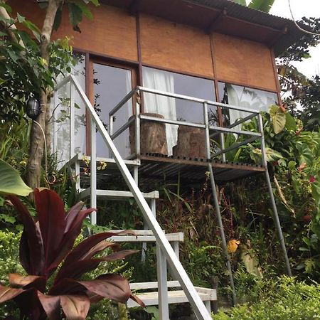 Jungleadventure Cabin Camping Bedugul  Esterno foto