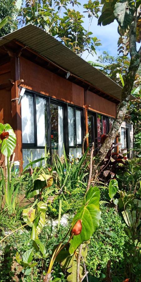 Jungleadventure Cabin Camping Bedugul  Esterno foto